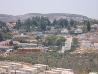 תמונות להשקת האתר