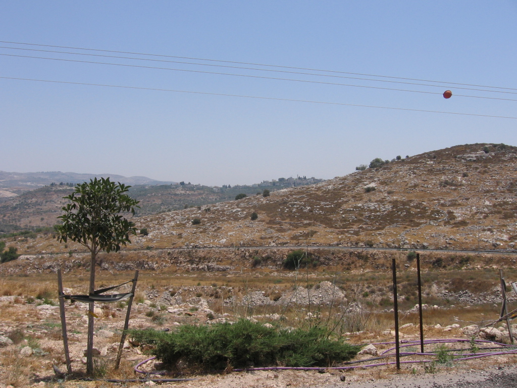 תמונות להשקת האתר