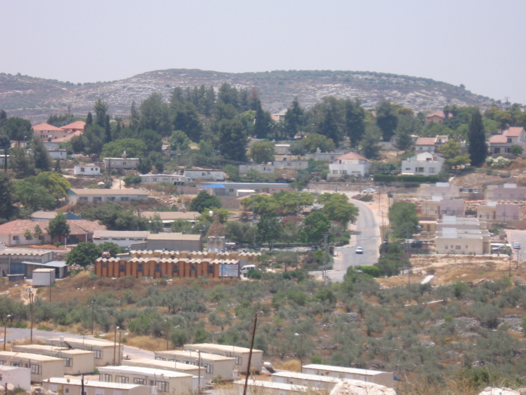 תמונות להשקת האתר