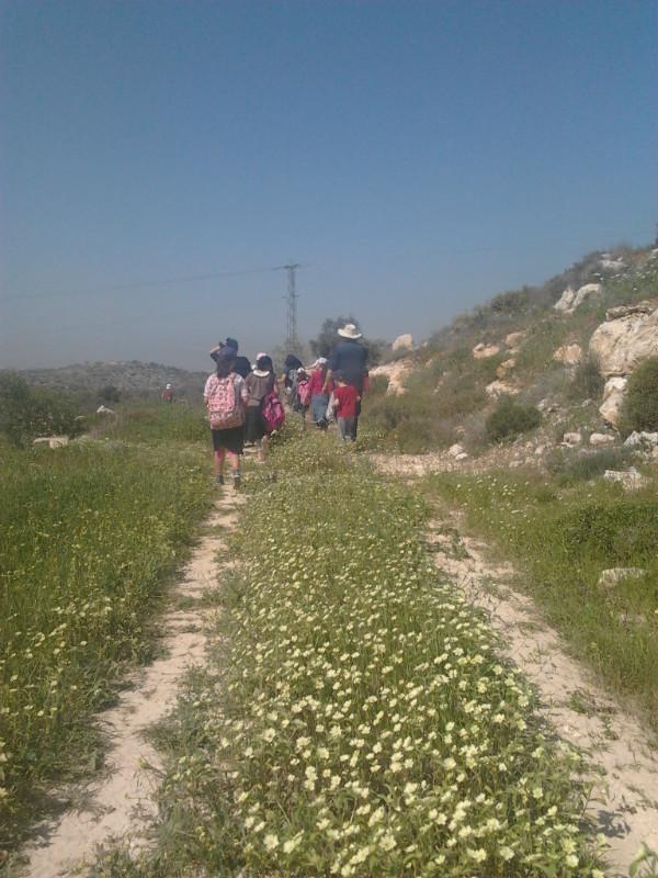 נהנים מהנוף ומהפריחה