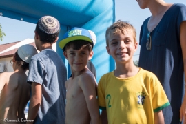 CRL_3915