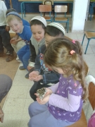 חיות